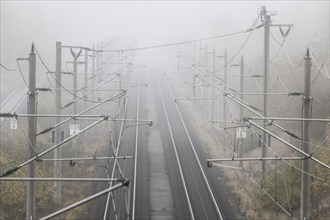 Fog on an ICE railway line near Neugarten, 06.11.2024., Neugarten, Brandenburg, Germany, Europe