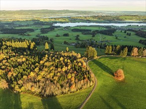 Mountain range near village Wertach, view to lake Rottachsee, aerial view, autumn colors, sunrise,