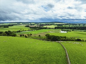 Farms and Fields over River Eden and River Eamont from a drone, Cumbria, England, United Kingdom,