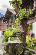 Rustic scene with a tree trunk serving as a fountain, surrounded by flowers, Lake Brienz, Brienz,