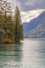 Lake with wooded shore and mountains under a cloudy sky, Lake Brienz, Switzerland, Europe