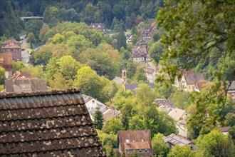 Part of a village on a wooded hill in the valley, surrounded by many trees and green nature, church