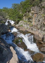 Wild-looking waterfall over rocks and surrounded by forest, dynamic water movement, Cascada del