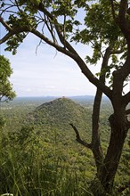 View of the jungle landscape from the Lion Rock, ruined city of Sigiriya, Central Province, Sri