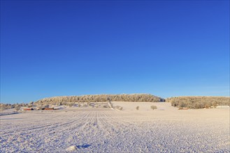 View of a rural winter landscape with snow and frost and a farm by a hill a cold sunny winter day