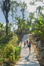 Footpath, jungle, woman, children, family, excursion, hike, pedestrian, person, palm trees, forest,