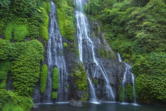 Banyumala twin waterfalls, waterfall, jungle, rainforest, water, nature, botany, holiday, paradise,