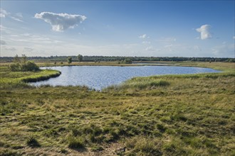 Gildehauser Venn nature reserve, pond, nature, landscape, recreation, tranquillity, view,