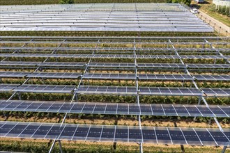 Agri-photovoltaic test plant, an apple orchard with two different systems of PV modules was roofed