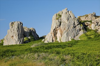 Striking boulders surrounded by ferns on the Pink Granite Coast in Brittany, France, Europe