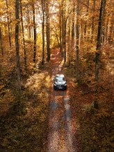 Vehicle on an autumnal forest path, surrounded by golden leaves and tall trees, electric car, VW