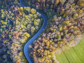 Winding country road through a forest with autumn-coloured trees, Swabian Alb in autumn. Aerial