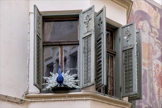 Window on a historic building with open shutters, with a peacock as decoration and a wall painting,