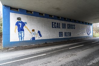 Wall murals, fan paintings of the Bundesliga club FC Schalke 04, at the Schalke stadium, Veltins