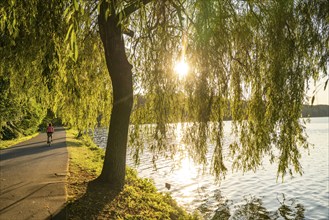 Cycling on Lake Baldeney, around 14 kilometres around the Ruhr reservoir, summer evening on the