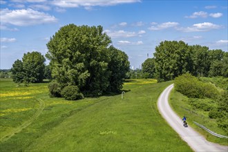 Rhine meadows near Duisburg-Beeckerwerth, footpath, cycle path on the Rhine dyke, North