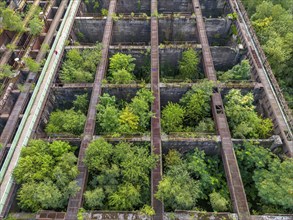 Duisburg-Nord Landscape Park, former Thyssen steelworks, closed in 1985, since then trees have been