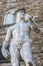 David by Michelangelo, sculpture, art, Renaissance, tourist attraction, monument, sculpture,