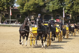 Warendorf State Stud, stallion parade, two-stallion quadrille