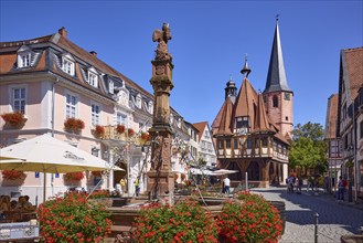 Market fountain with blooming geraniums and historic town hall on the market square under a