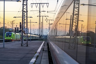 Flixtrain train arriving at Essen central station, reflected in an ICE train, dusk, North