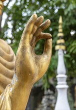 Close-up of Vitarka Mudra, hand gesture signifying the transmission of teachings of the Buddha, Wat