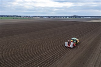 Early potatoes are placed in the soil of the field with a planting machine, Agriculture, Spring