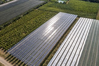 Agri-photovoltaic test plant, an apple orchard with two different systems of PV modules was roofed