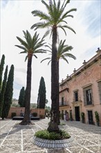 A sunny courtyard with tall palm trees and cypresses on a cobblestone pavement in front of a pink