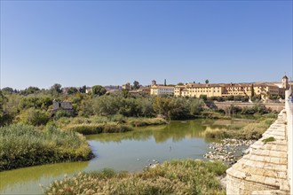 A river with vegetation and a view of a historic city on a sunny day, Cordoba