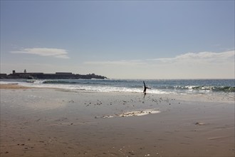 Lonely beach with breaking waves under a sunny sky, Tarifa