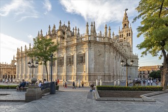 Gothic cathedral at sunset with people and trees all around, Seville