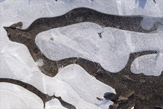 Pattern on frozen water surface, ice crystals, North Rhine-Westphalia, Germany, Europe