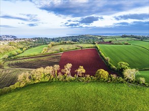 Fields and Farms over Torquay from a drone, Devon, England, United Kingdom, Europe