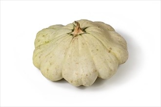 Pattypan squash with round and shallow shape and scalloped edges on white background