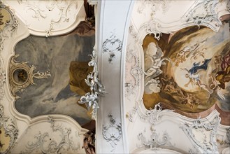 Baroque church, vaulted ceiling, Fridolinsmünster, Church of St Fridolin, Bad Säckingen, Upper