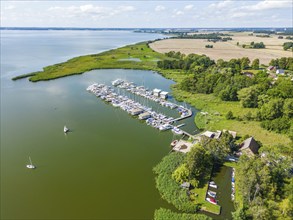 Aerial view, drone photo of the Krummin natural harbour, Krumminer Wiek on the Peene River, Usedom