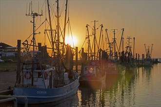 Sunset, shrimp cutter in the harbour, Dorum-Neufeld, Wurster Land, Lower Saxony, Germany, Europe