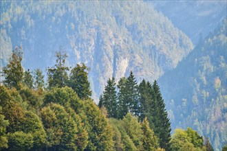 Mountains in autumn colours, Berchtesgaden Alps, Berchtesgaden National Park, Berchtesgadener Land,