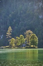 Lake Koenigssee in autumn, Alps, Bavaria, Germany, Europe