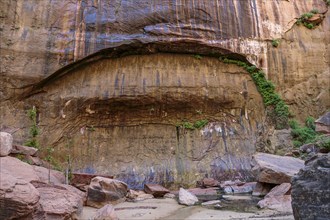 Blind arch in the sandstone rock along the Riverside Walk in the Temple of Sinawava area of Zion