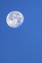 Fullmoon on blue sky at morning