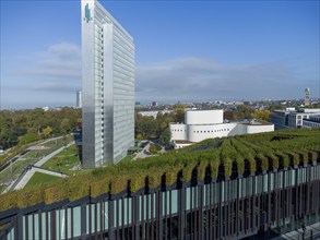 Gustaf-Gründgens-Platz mit Schauspielhaus, Dreischeibenhaus und mit Hainbuchen begrünter