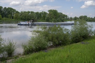 Barge on the Danube, Nideraltaich, Lower Bavaria, Germany, Europe