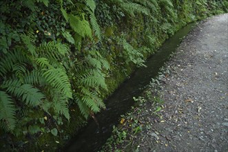 Hiking trail, Schenner Waalweg, Neuwaal, stream, long exposure, Schenna, Scena, South Tyrol,