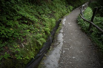 Hiking trail, Schenner Waalweg, Neuwaal, stream, long exposure, Schenna, Scena, South Tyrol,