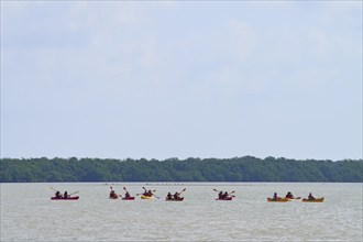 People paddling in kayaks on a calm lake surrounded by green trees and a clear sky, Flamingo,