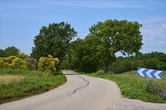 Rural road with a bend, lined with green trees and meadows on a sunny day, a blue road sign points