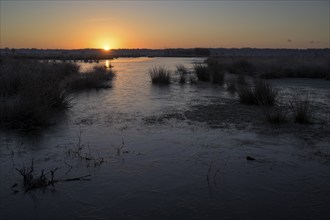 Blänke on a wet meadow, at frost, sunrise, morning, NSG Dingdener Heide, North Rhine-Westphalia,