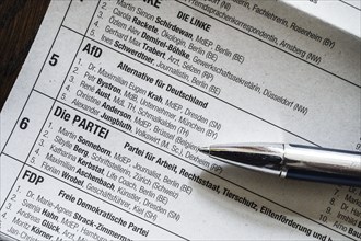 Afd, candidates Maximilian Krah and Petr Bystron, ballot paper, ballot paper for the 2024 European